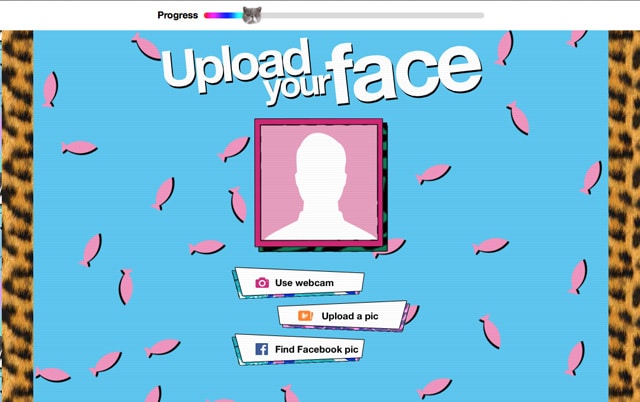 singitkitty-upload