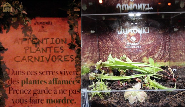 jumonki-bar-paris-07