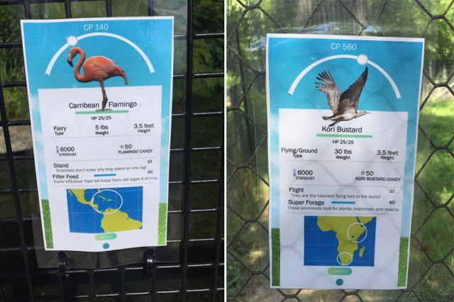PokemonGO-Zoo-1