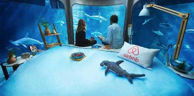 airbnb-aquarium-de-paris11