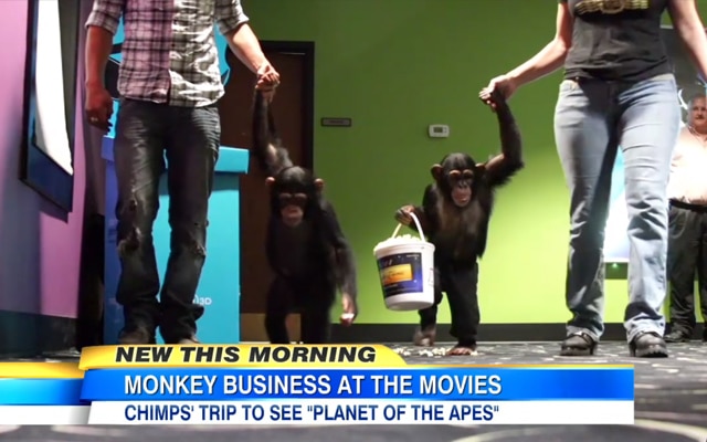 2-chimpanzes-projection-de-la-planete-des-singes-laffrontement1