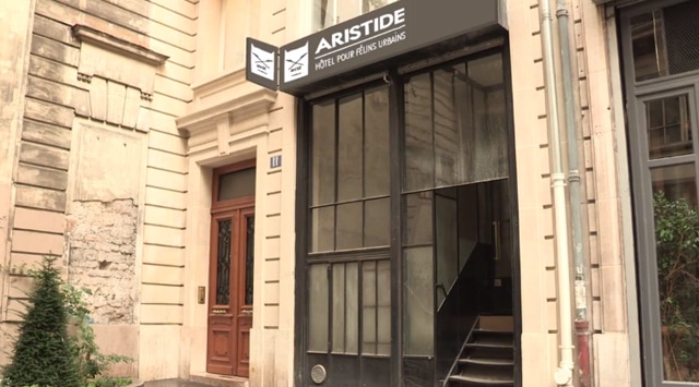 Aristide-hotel-chats01