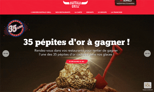 Buffalo-Pepites-OR