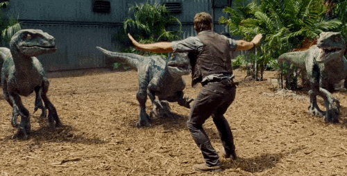 Chris-Pratt-Raptors