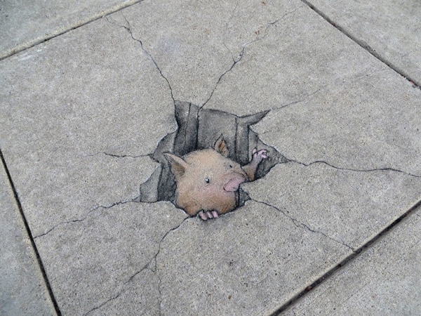 David-Zinn-2014-015