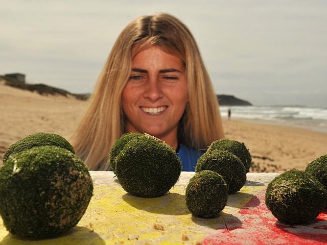 Dee-Why-Beach-eggs-01