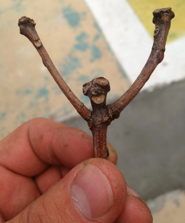 FacesPics08