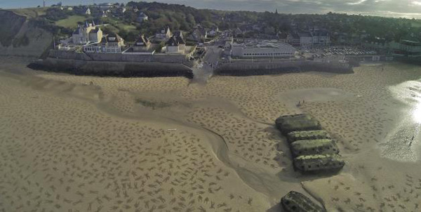 Jamie-Wardley-Andy-Moss-D-Day-0000