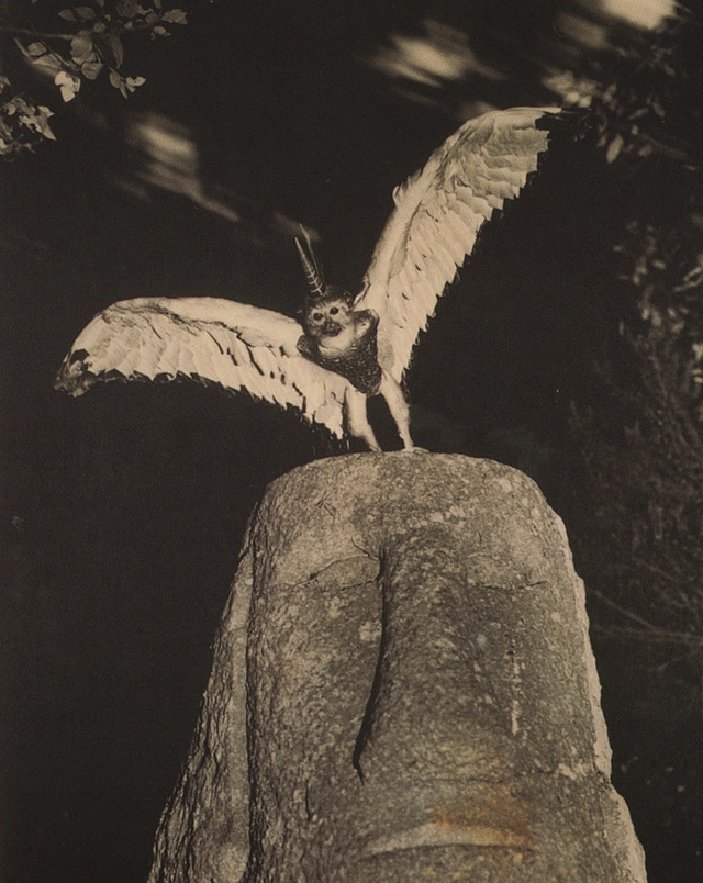 Joan-Fontcuberta-5