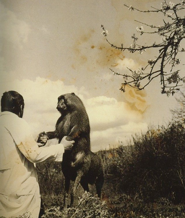 Joan-Fontcuberta-55