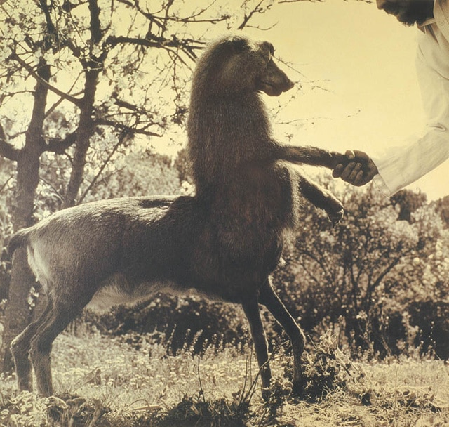 Joan-Fontcuberta4