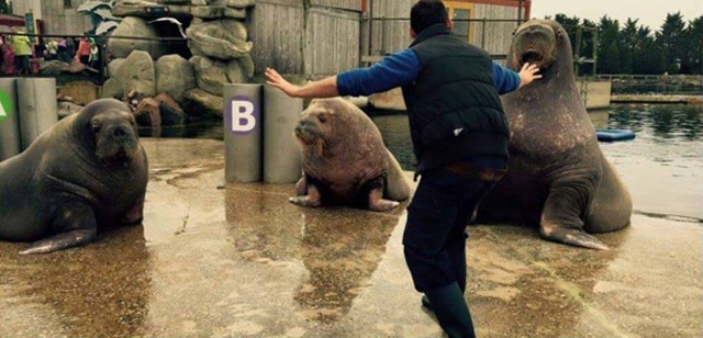 JurassicWorld-Zoo-1