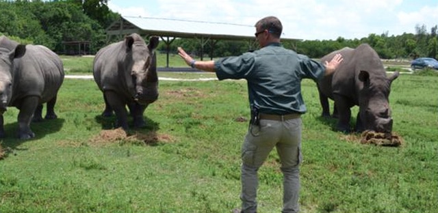 JurassicWorld-Zoo-10