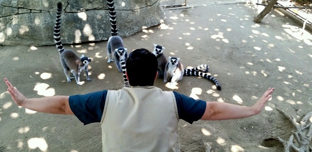 JurassicWorld-Zoo-77
