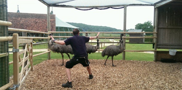 JurassicWorld-Zoo-9