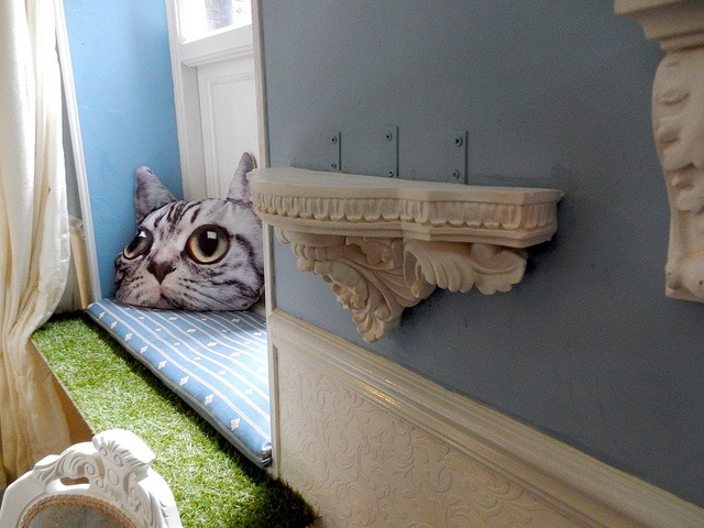 LadyDinahCatEmporium04