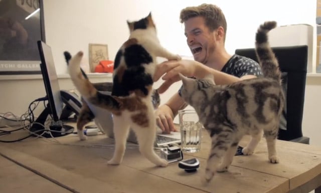 Poopy-Cat-Office1
