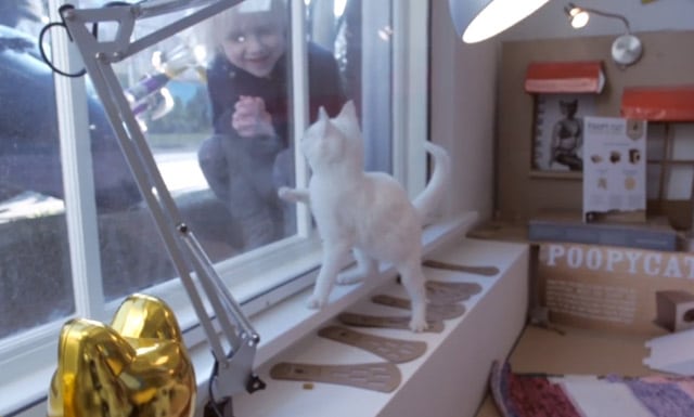Poopy-Cat-Office3
