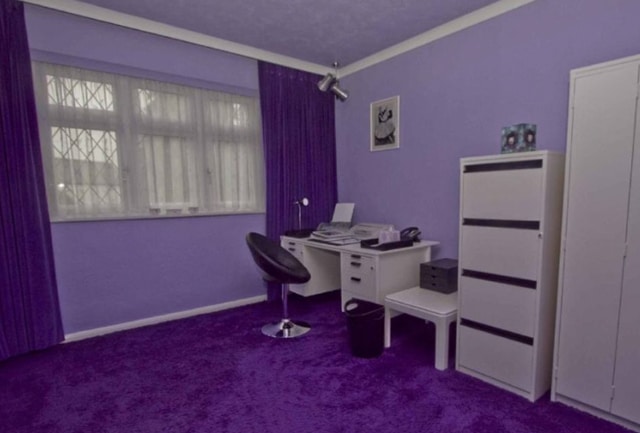 Purple-house-Hillingdon-09