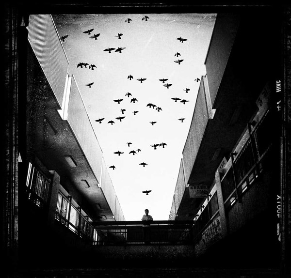Richard-Koci-Hernandez3
