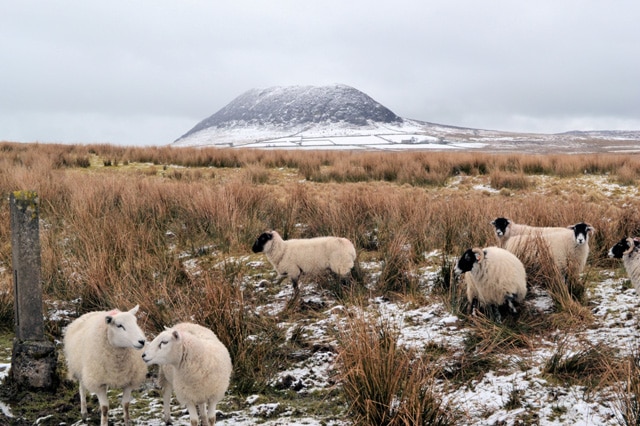 Slemish-Mountain