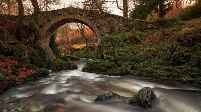 Tollymore-forest