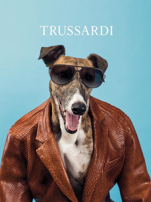 Trussardi-2014-dog-ad-02