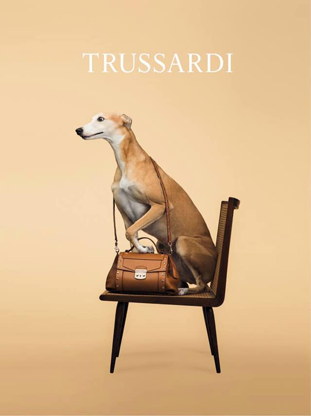 Trussardi-2014-dog-ad-03