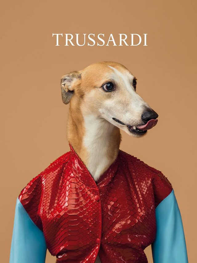 Trussardi-2014-dog-ad-04