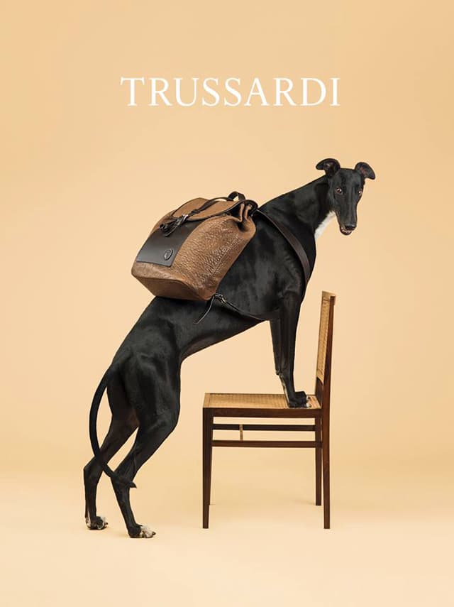 Trussardi-2014-dog-ad-05