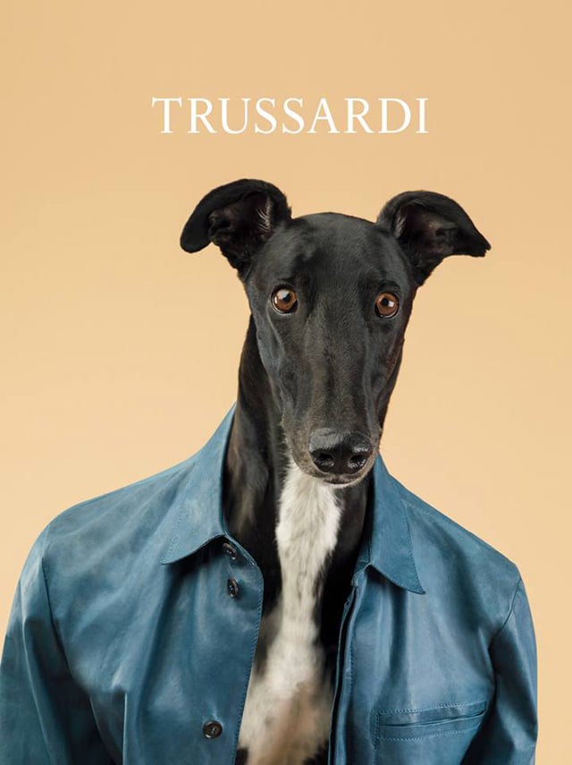 Trussardi-2014-dog-ad-06