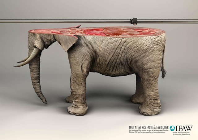Y&R-Paris-IFAW