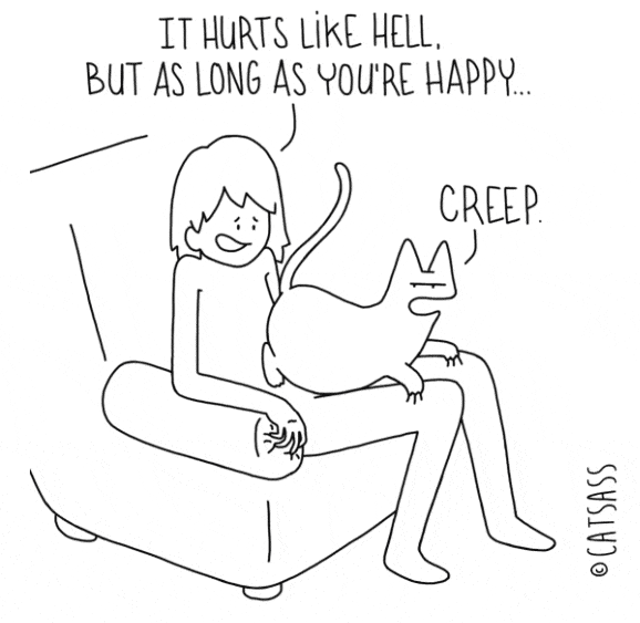 catsass-4