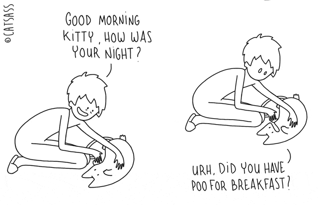 catsass2