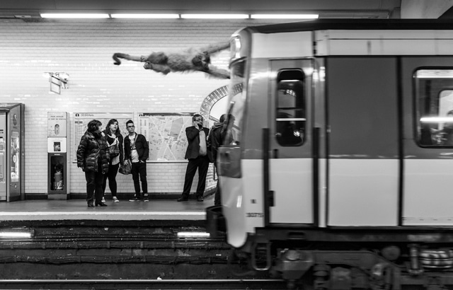 clarisse-rebotier-Animetro-0