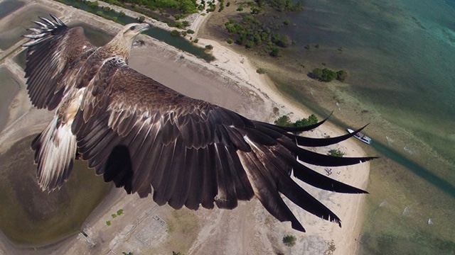 dronestagram1