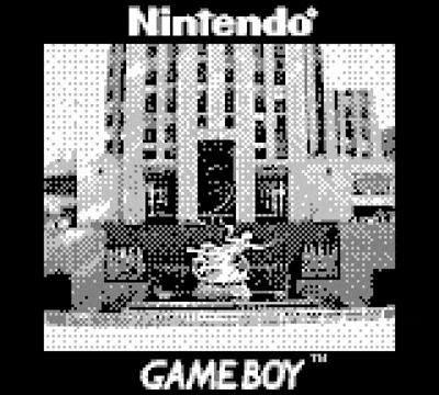gameboy-camera-2000-011