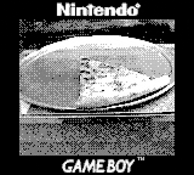 gameboy-camera-2000-08
