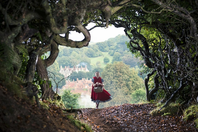 intoTheWoods