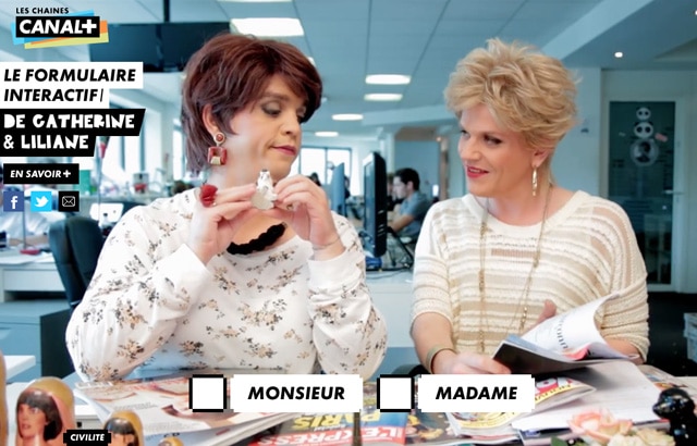 le-formulaire-interactif-de-catherine-et-liliane1