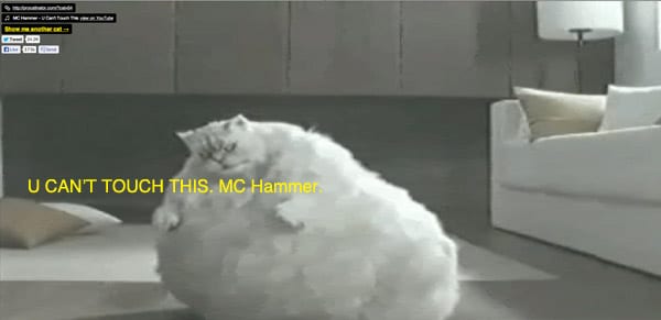 mchammer