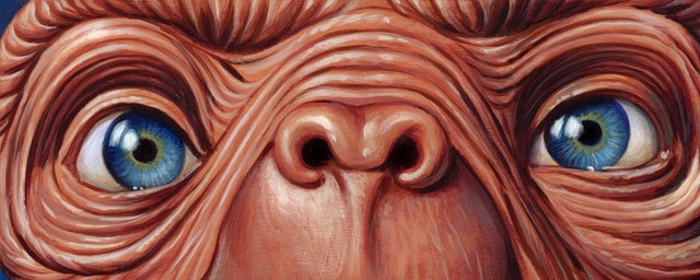 mondo-eyes-without-a-face4