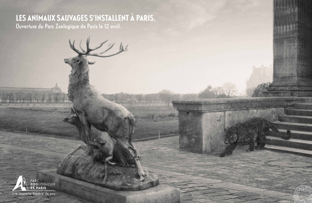 parczoologiquedeparis01