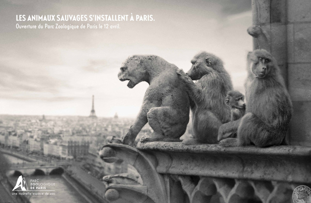 parczoologiquedeparis04